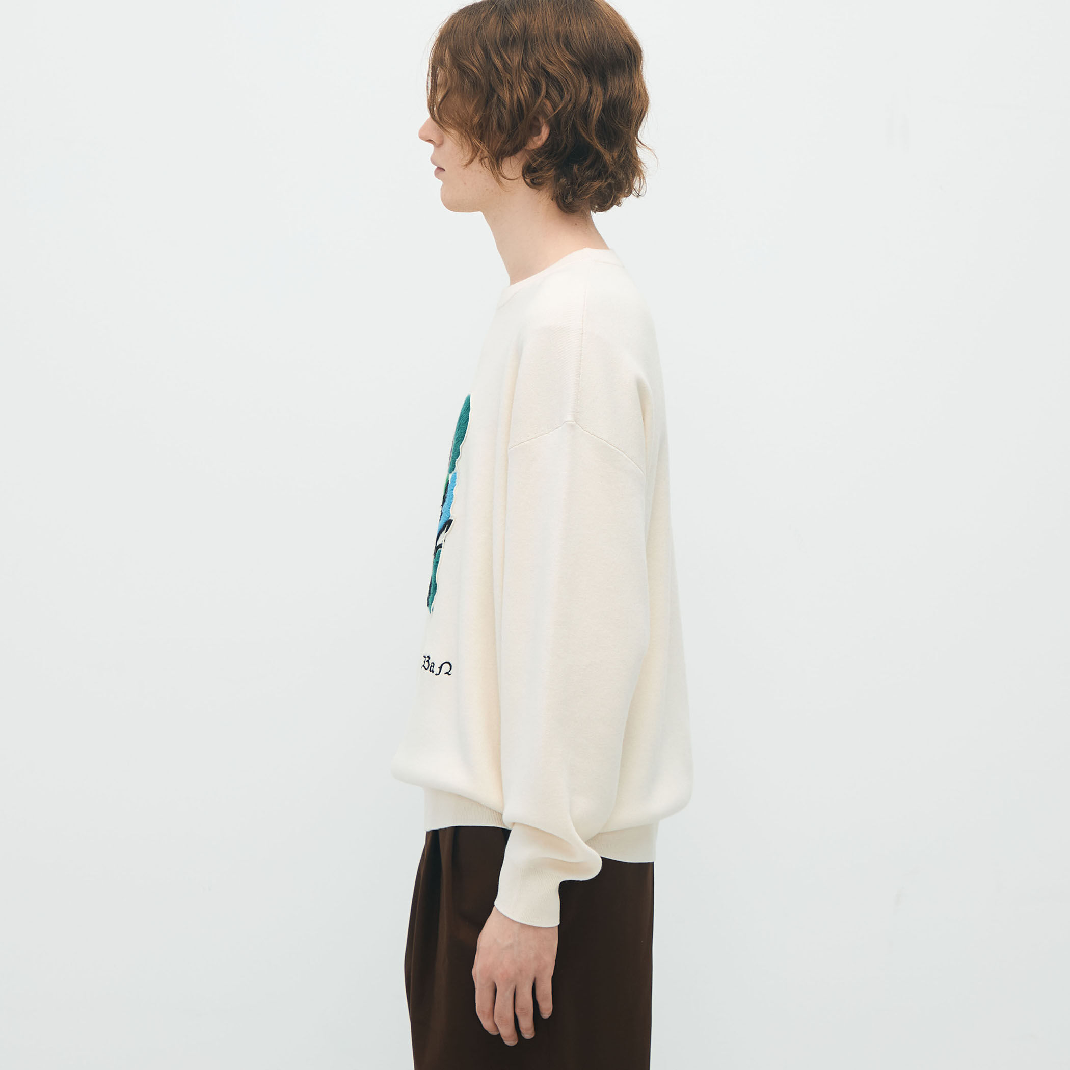 CABaN コットンカシミヤ Elephantエンブロイダリークルーネックプル