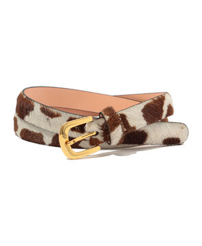 AMBOISE COW PRINT 2530 ベルト