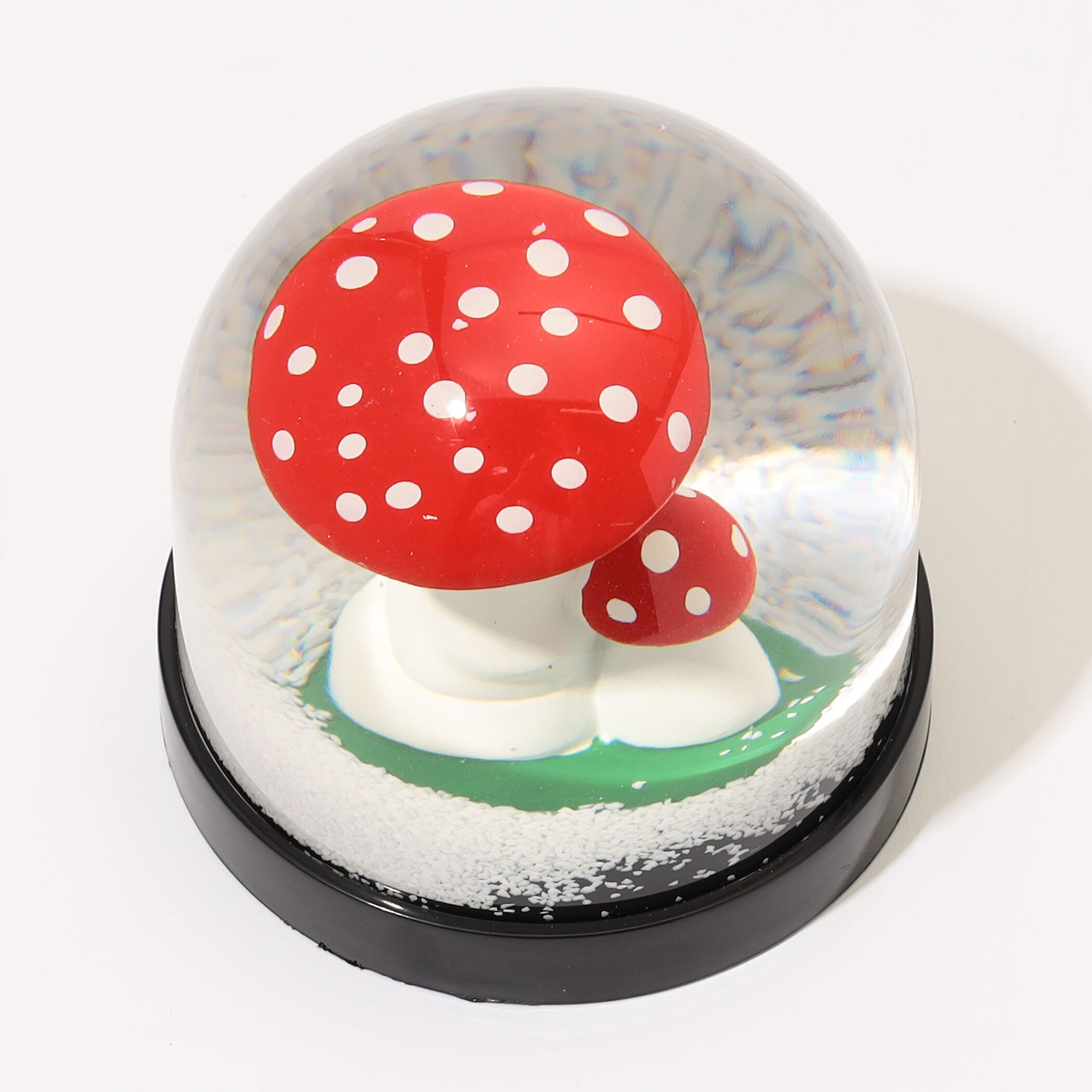 &k amsterdam スノードーム｜トゥモローランド 公式サイト