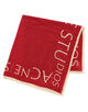Acne Studios ロゴスカーフ