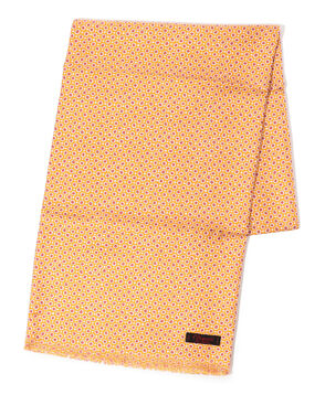 Charvet シルクプリント スカーフ