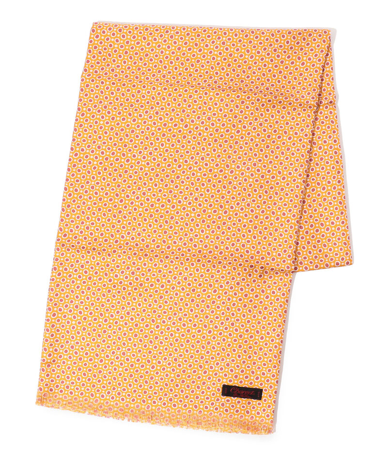 Charvet シルクプリント スカーフ