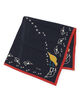 Drake&rsquo;ｓ OYSTER CATCHER PRINT BANDANA シルクプリントスカーフ