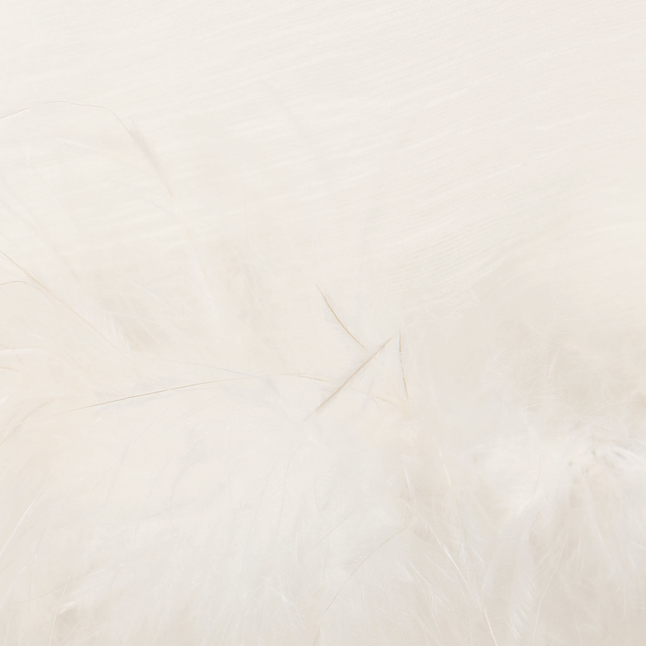 クレープ デシン ファーボレロ｜トゥモローランド 公式通販