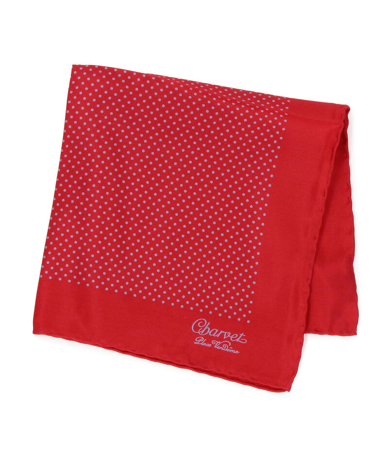 Charvet シルクプリント ポケットチーフ