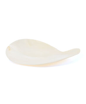 Gohar World NAUTILUS DISH