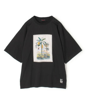 スビンコットン TROPICAL HORIZON Tシャツ