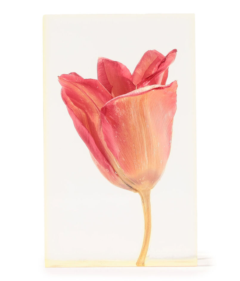Takao Inoue TULIP RED オブジェ