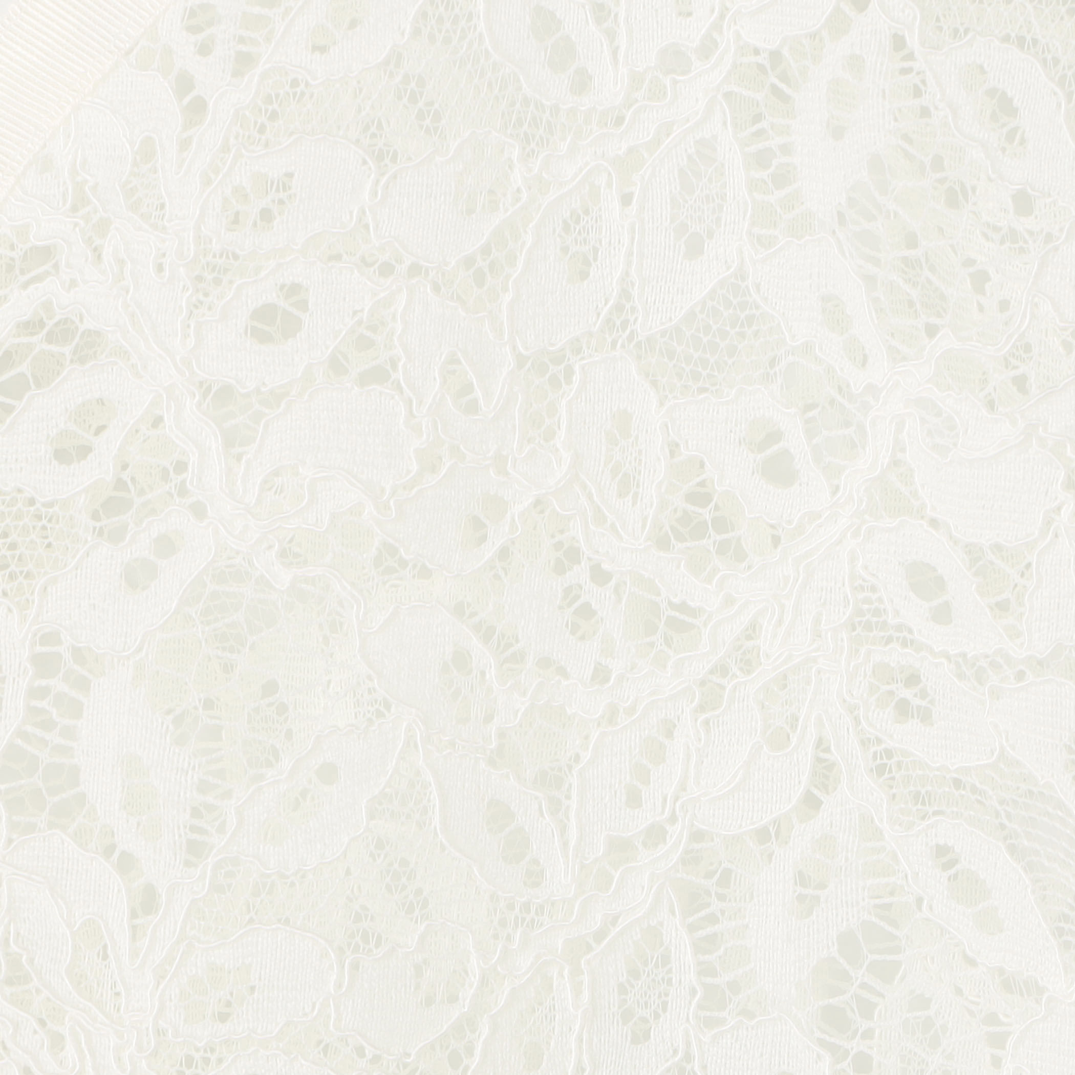 リーフコード レースジレブラウス｜トゥモローランド 公式通販