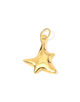BAR Jewellery ABSTRACT STAR ゴールドチャーム