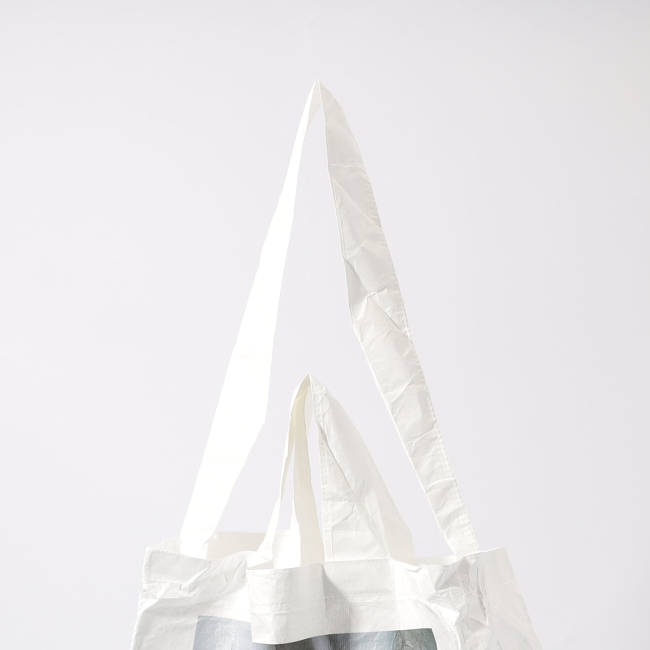 別注】 conservatory by edenworks conservatory bag