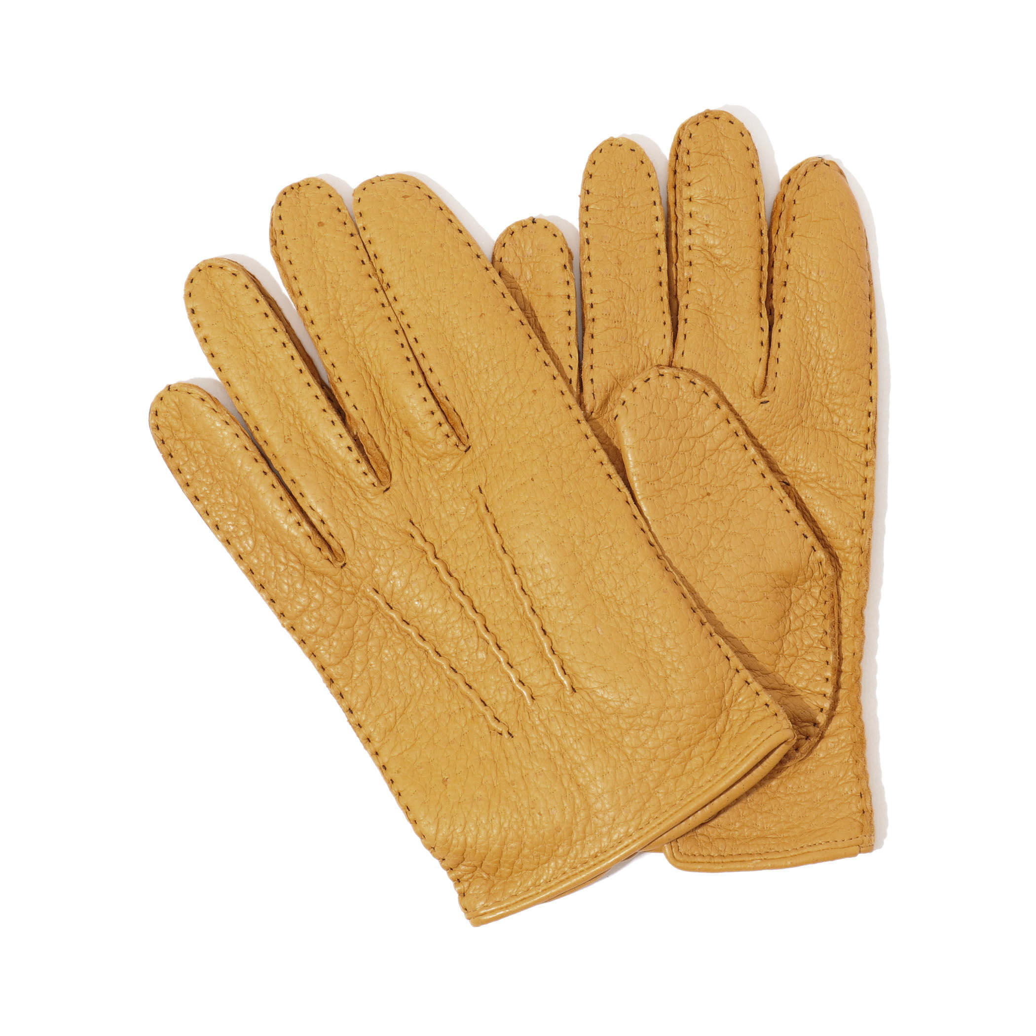 DENTS ペッカリー グローブ｜トゥモローランド 公式通販