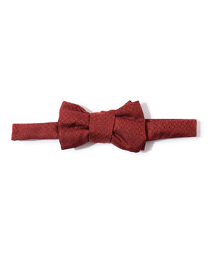 Charvet シルク ボウタイ