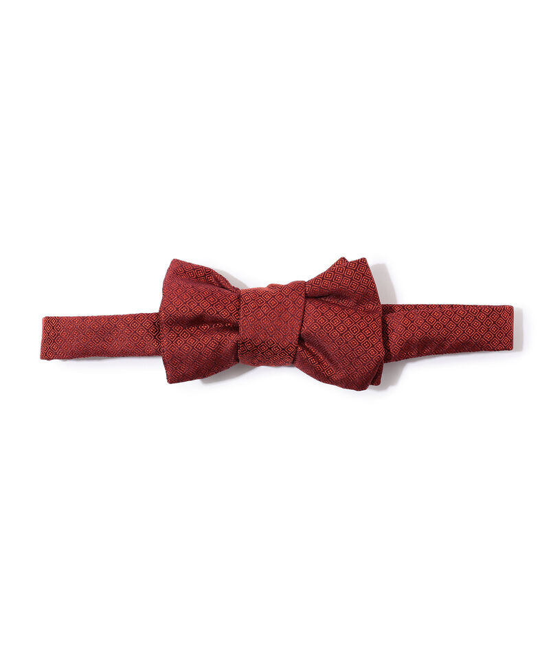 Charvet シルク ボウタイ