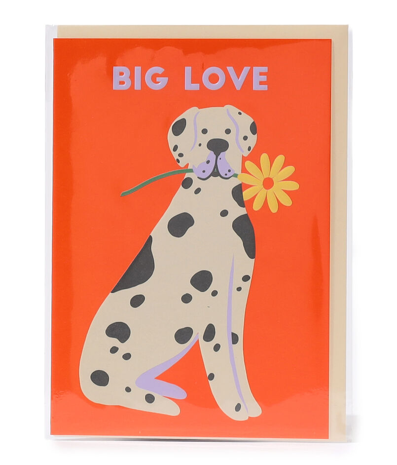 KlangundKleid.de GmbH BIG LOVE