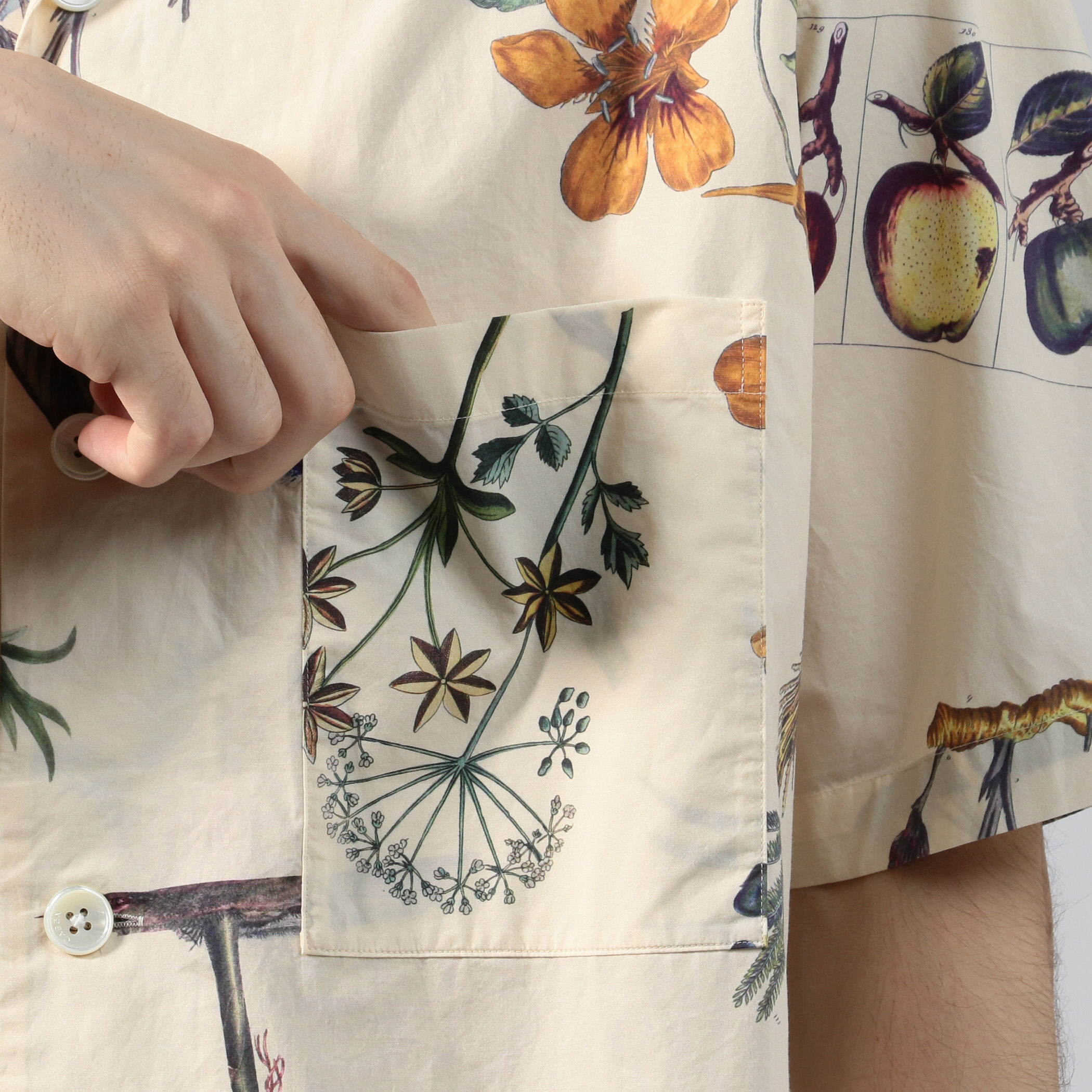 □CABaN NEW BOTANICAL コットン オープンカラーシャツ