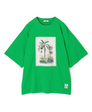 スビンコットン TROPICAL HORIZON Tシャツ