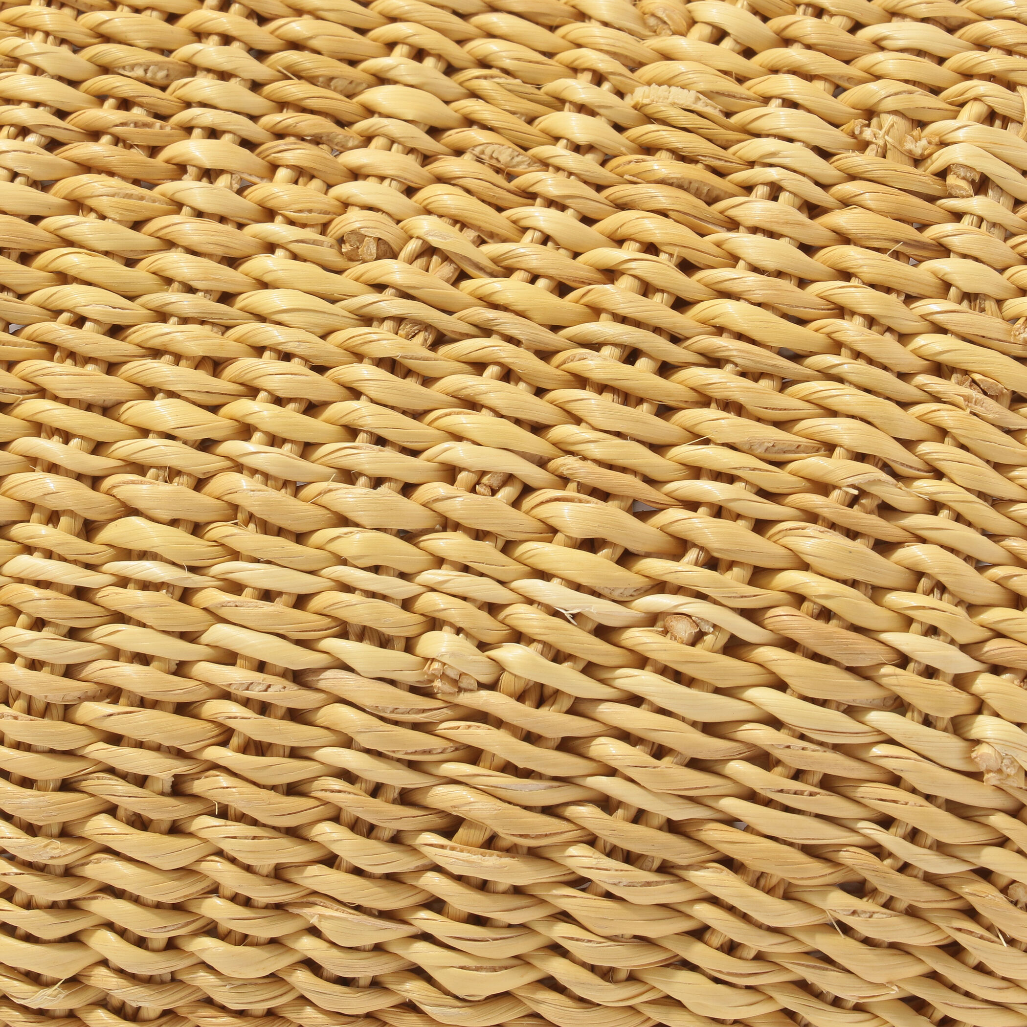 一部別注】INES BRESSAND MEDIUM WALNUT Bag｜トゥモローランド 公式サイト