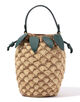ANYA HINDMARCH CROSSBODY PINEAPPLE バッグ