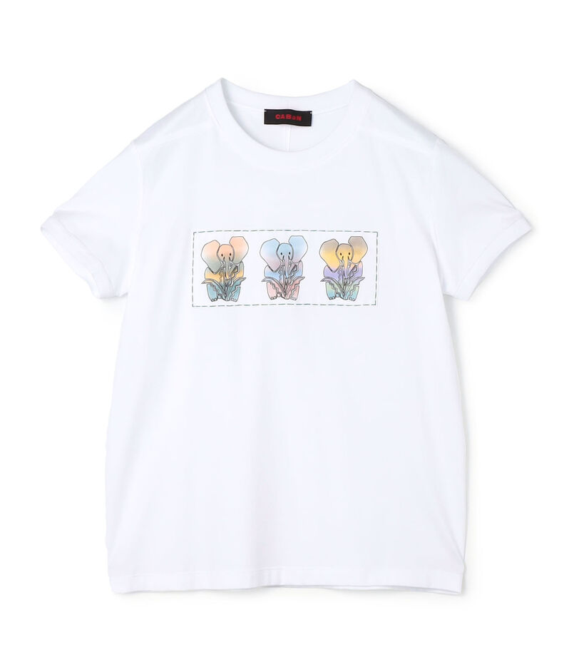 スビンコットン ELEPHANTグラデーションプリントTシャツ
