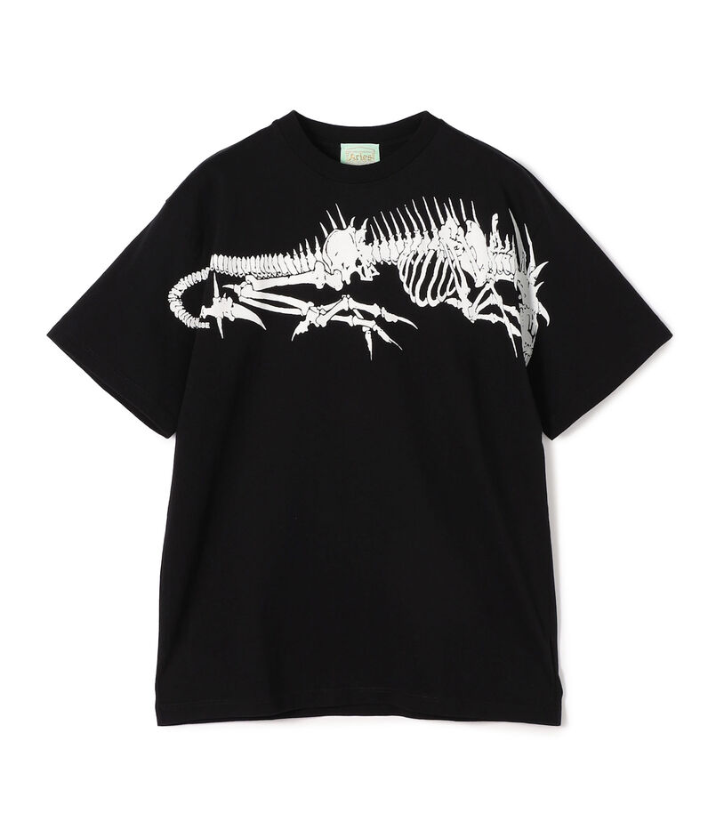 ARIES Acid Drgn Skelator T