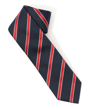 STEFANO BIGI シルク レジメンタル ネクタイ