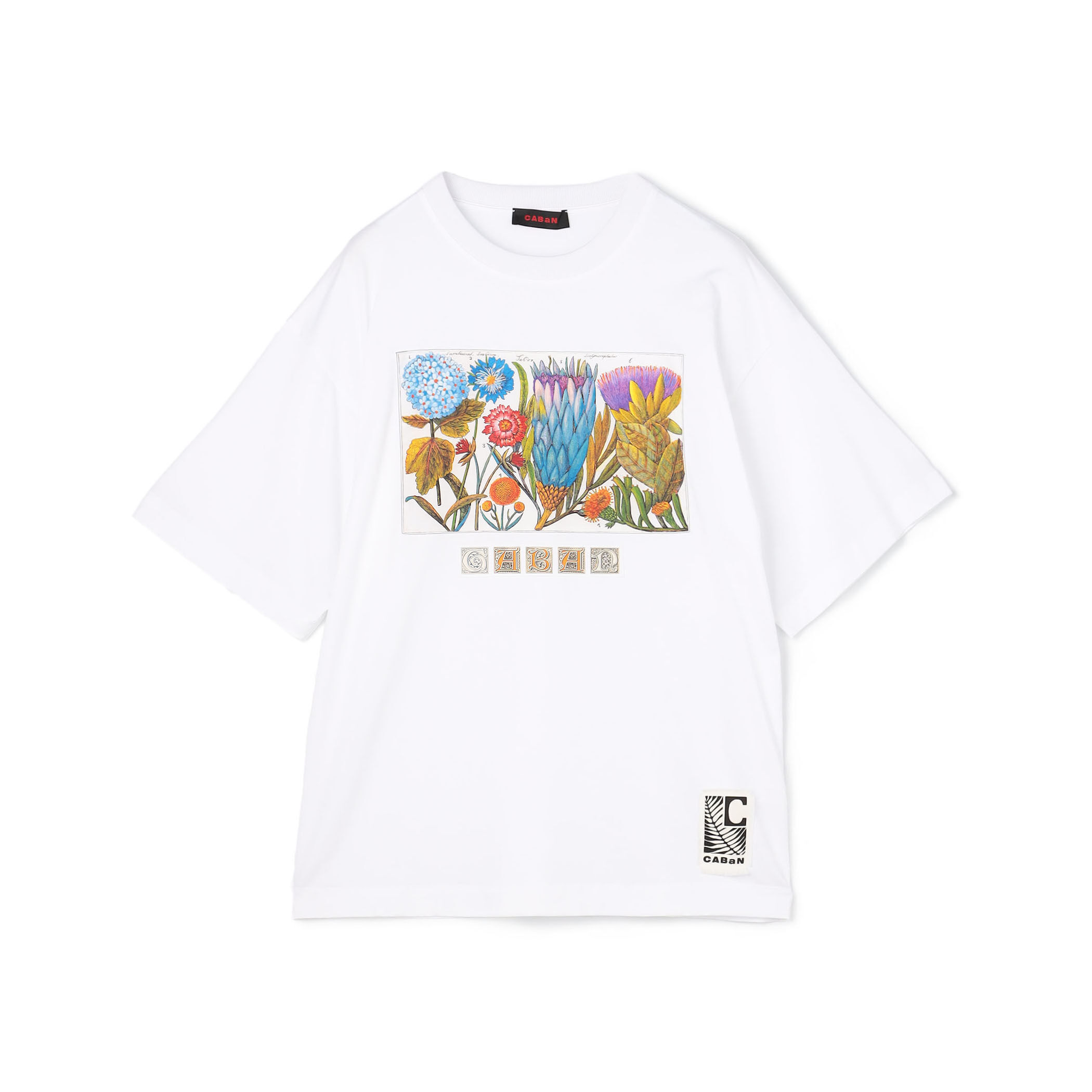 CABaN スビンコットン パレルモプリントTシャツ｜トゥモローランド