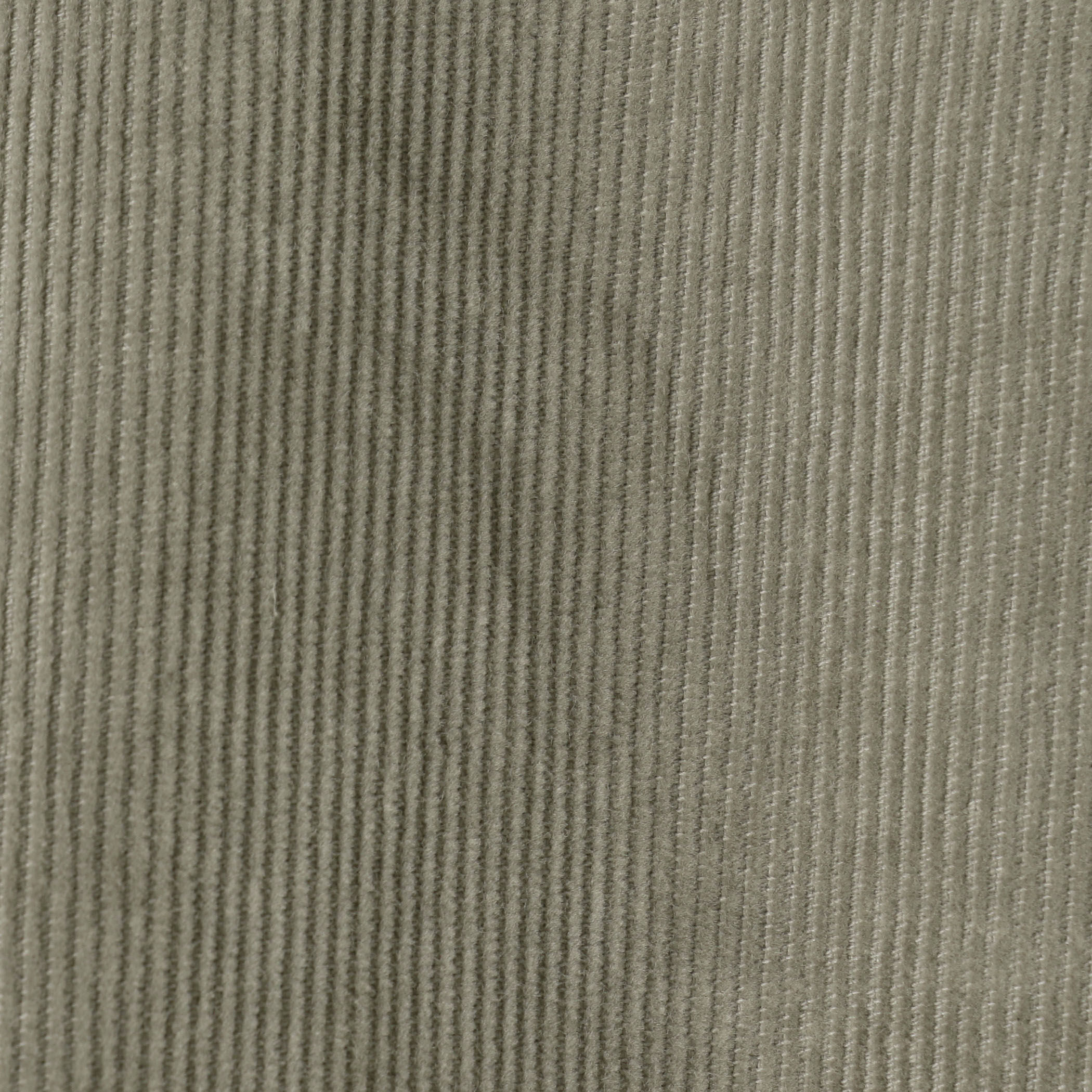 ストレッチコーデュロイ スリムストレートパンツ｜トゥモローランド