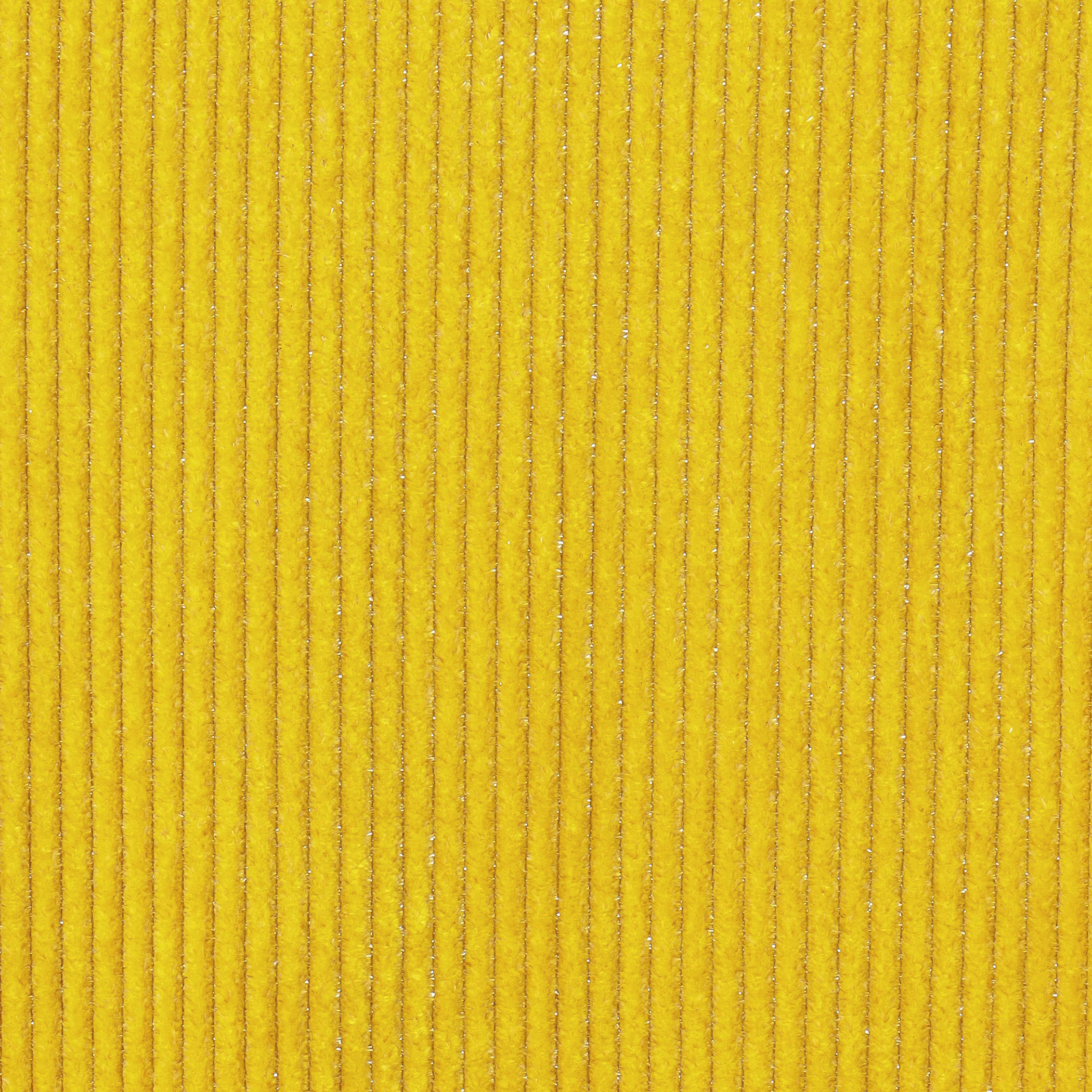 ラメコーデュロイ フロンタブルトップス｜トゥモローランド 公式通販