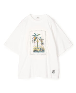 スビンコットン TROPICAL HORIZON Tシャツ