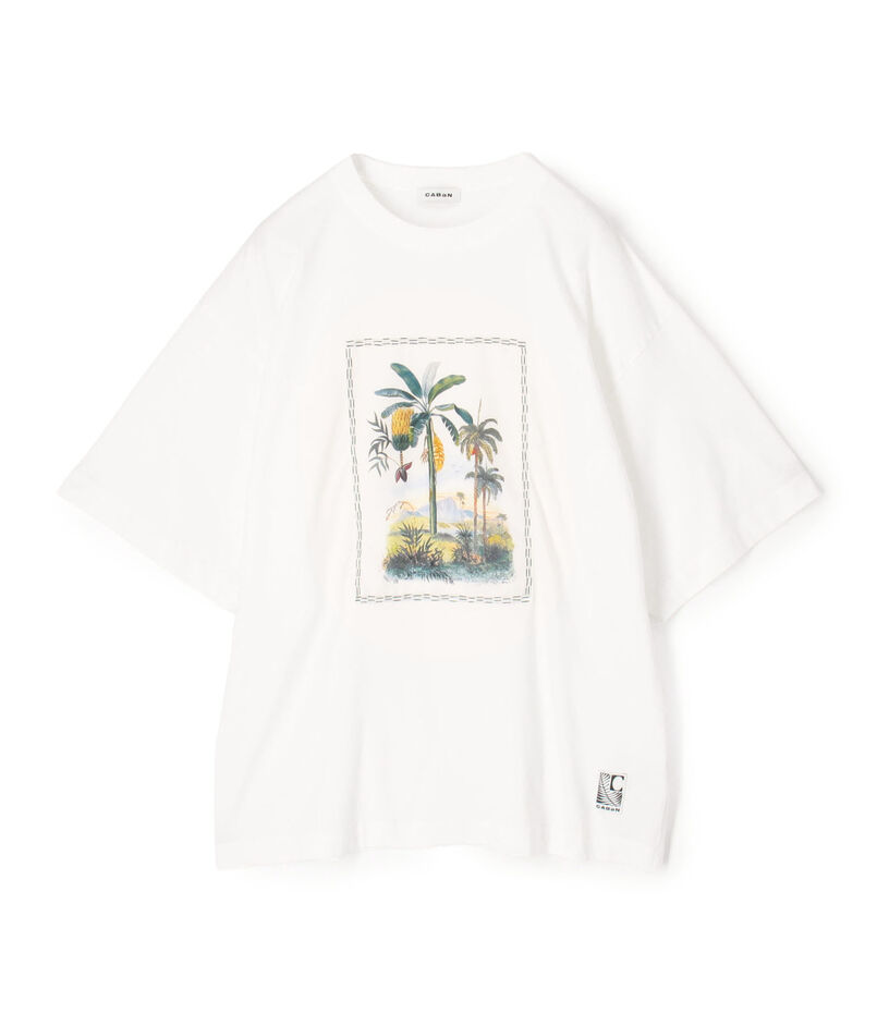 スビンコットン TROPICAL HORIZON Tシャツ