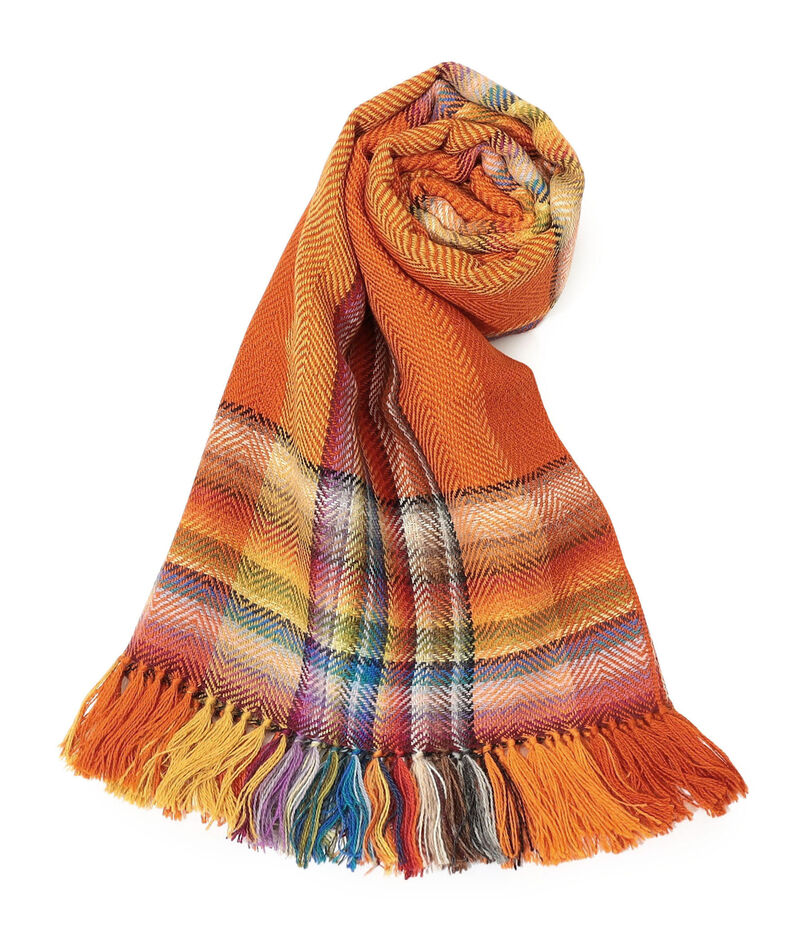 THE INOUE BROTHERS Multi Coloured Scarf