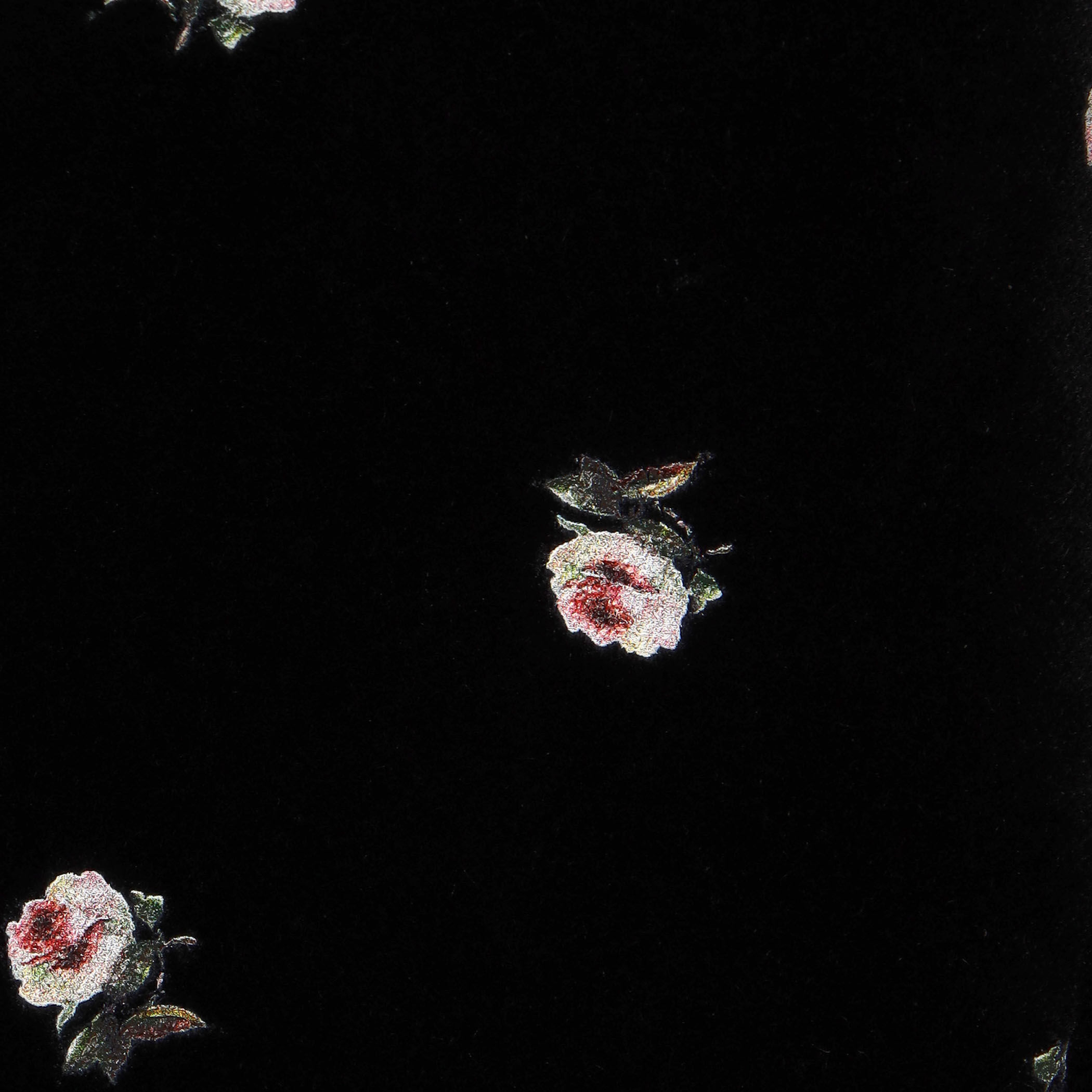 CABaN ベロアローズプリント テーラードジャケット｜トゥモローランド