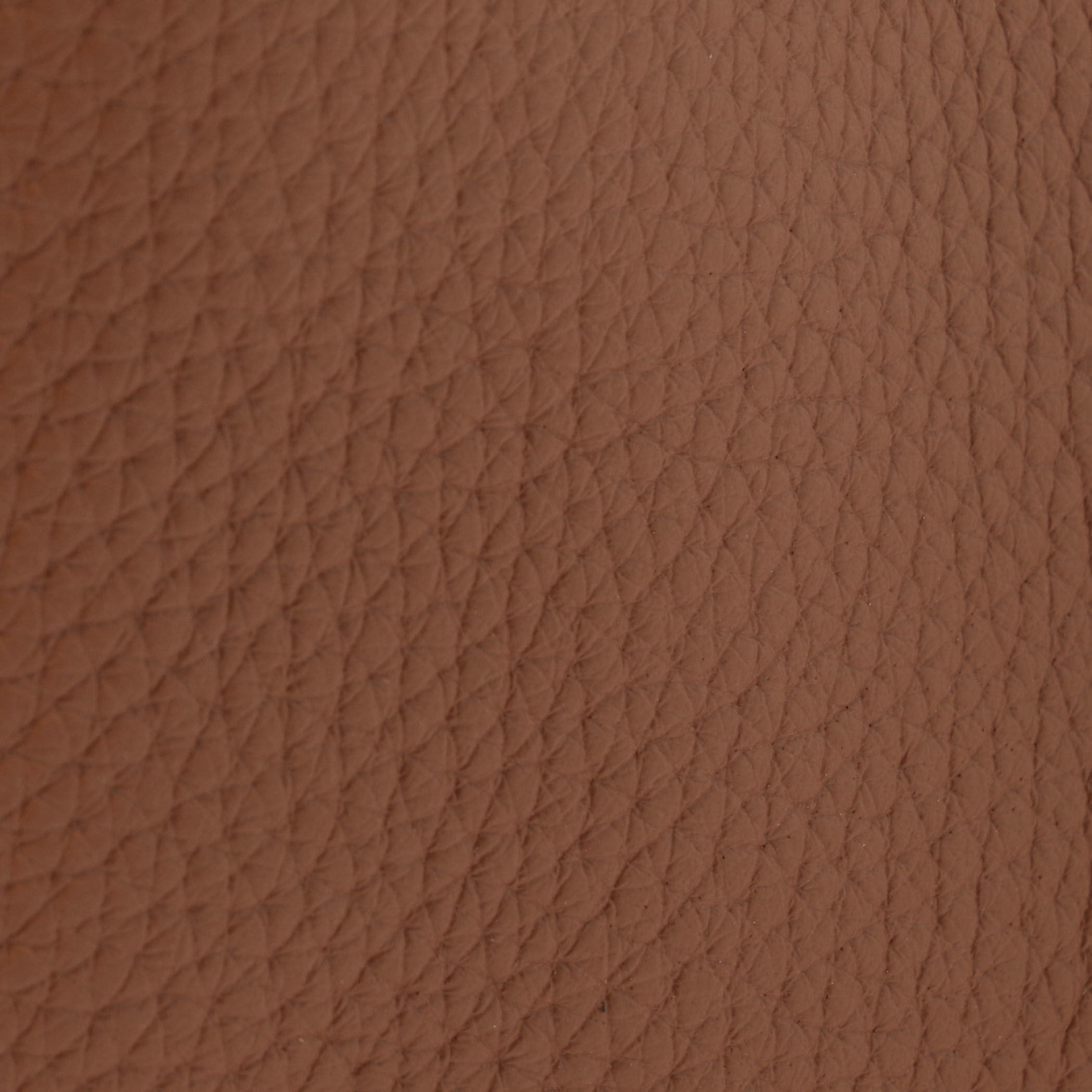 Pachyderm × THE RERACS Regi Small Bag｜トゥモローランド 公式サイト