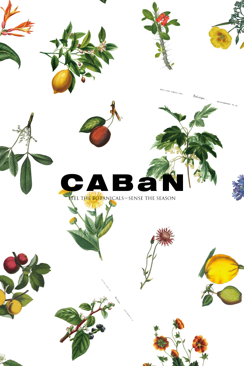 値下げ❗️美品❗️Caban キャバン　コートＳサイズ CABaNのメンズジャケット・アウター | メンズ | 三越伊勢丹
