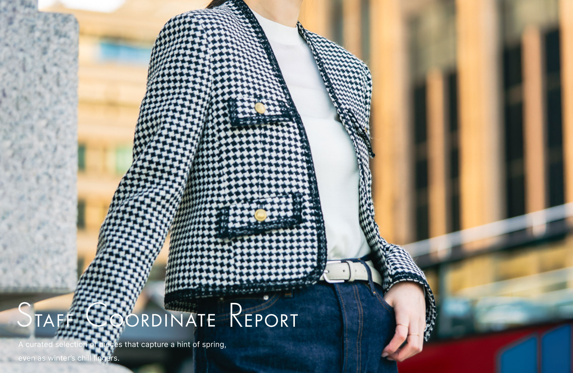 DES PRÉS STAFF COORDINATE REPORT