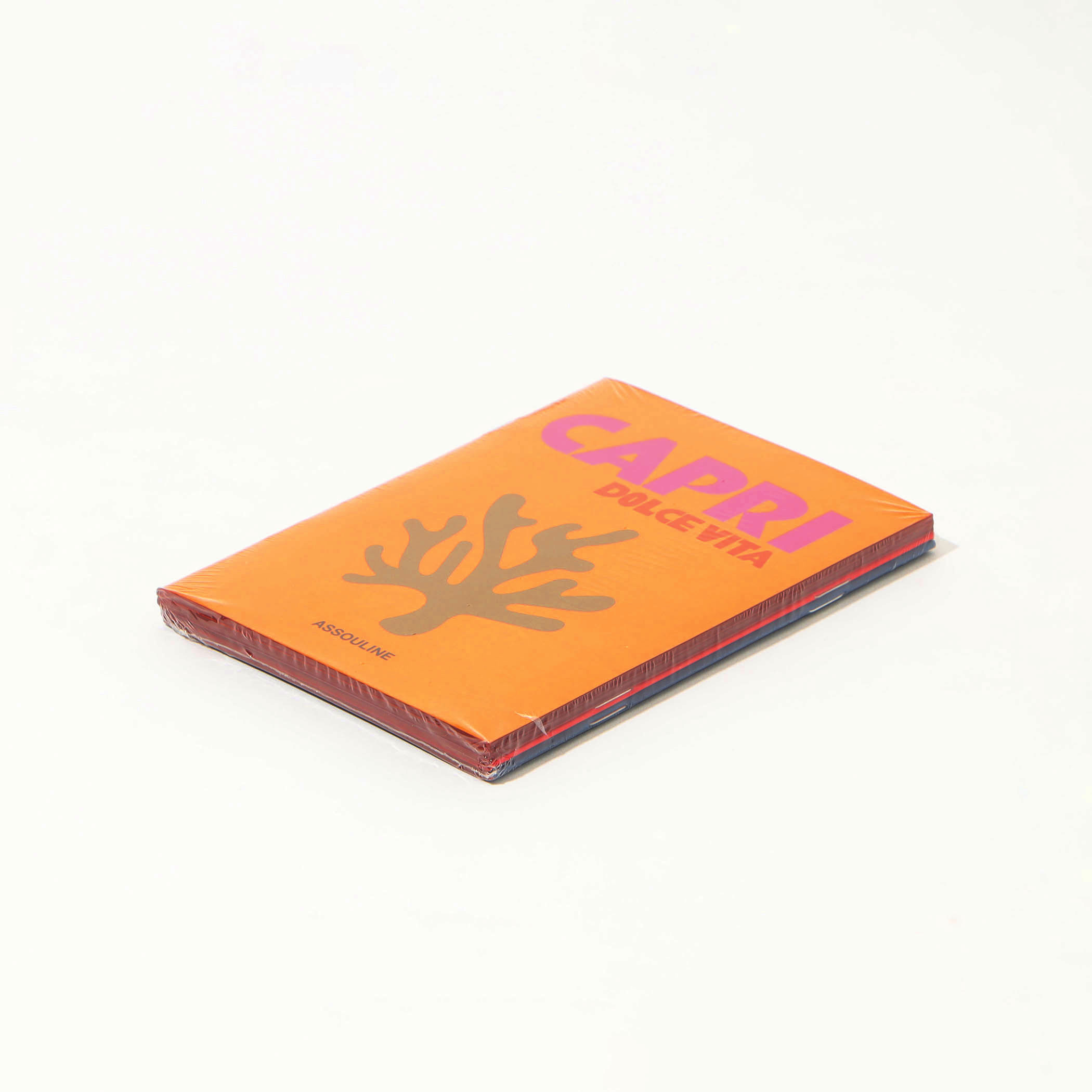 ASSOULINE CAPRI トラベルノートブック｜トゥモローランド 公式サイト