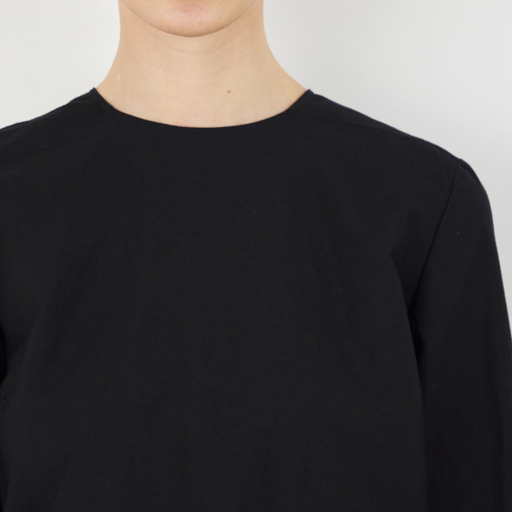 コットンナイロンシアータフタ バックプリーツブラウス