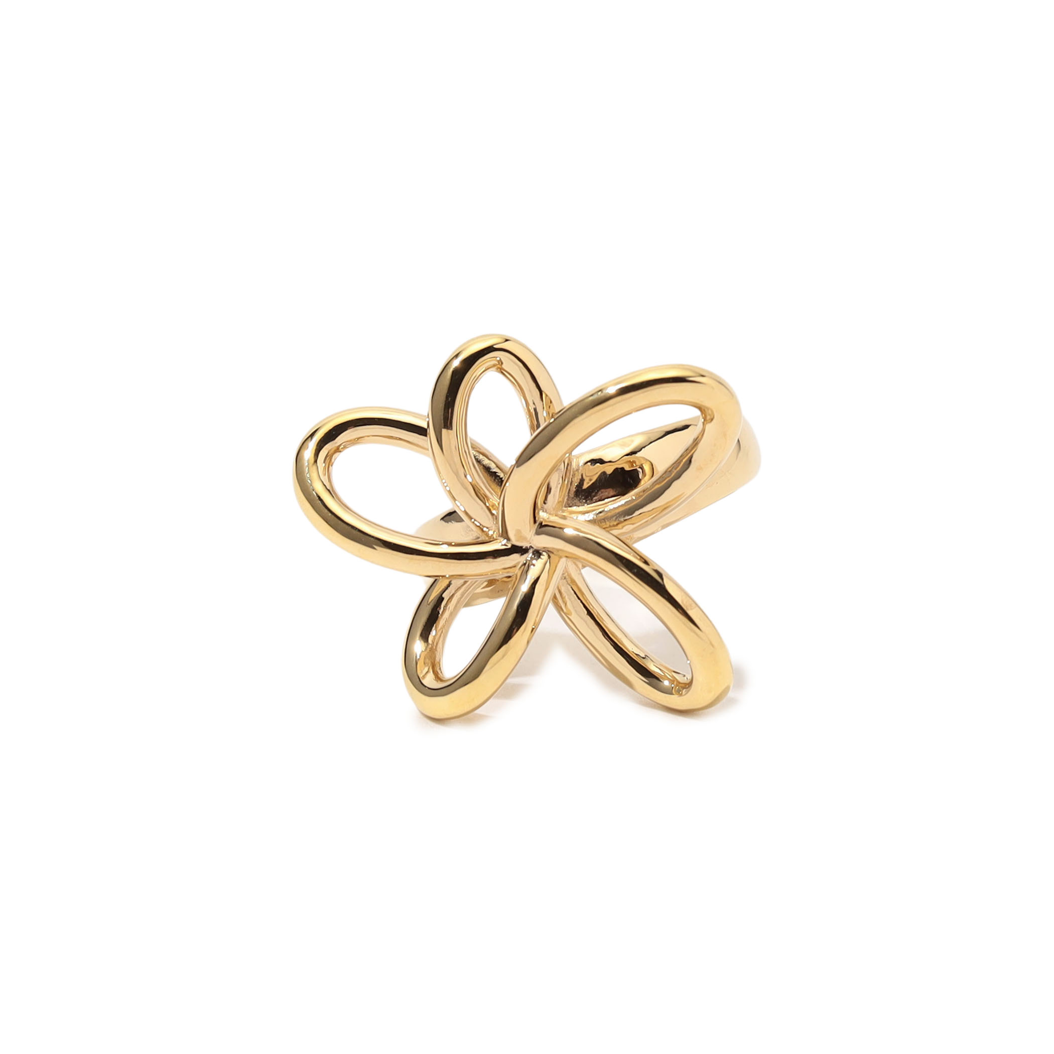 【別注】PHILIPPE AUDIBERT ゴールド スカーフリング