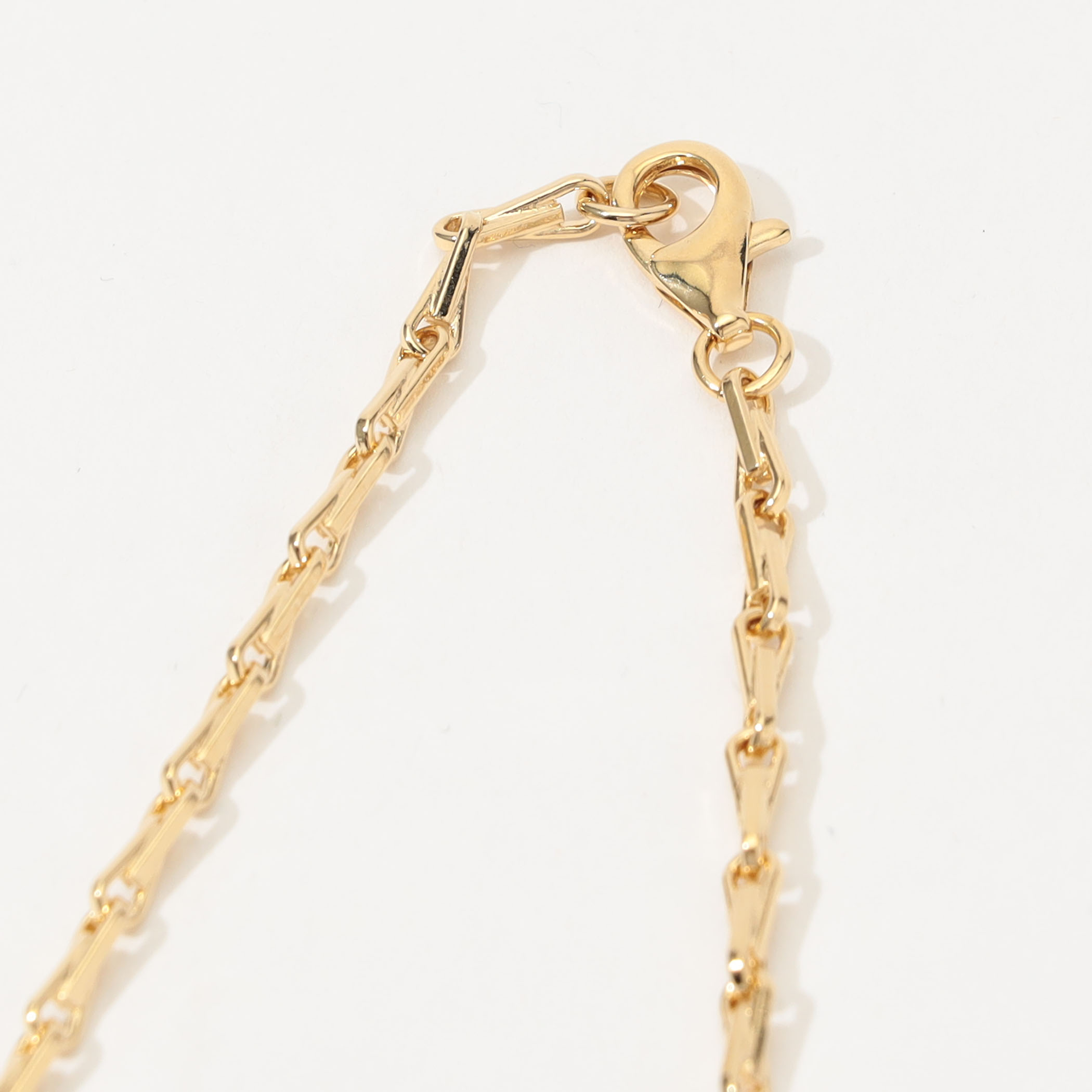 Laura Lombordi ゴールドチェーンネックレス ○【LAURA LOMBARDI】PORTRAIT NECKLACE（ネックレス）｜Laura