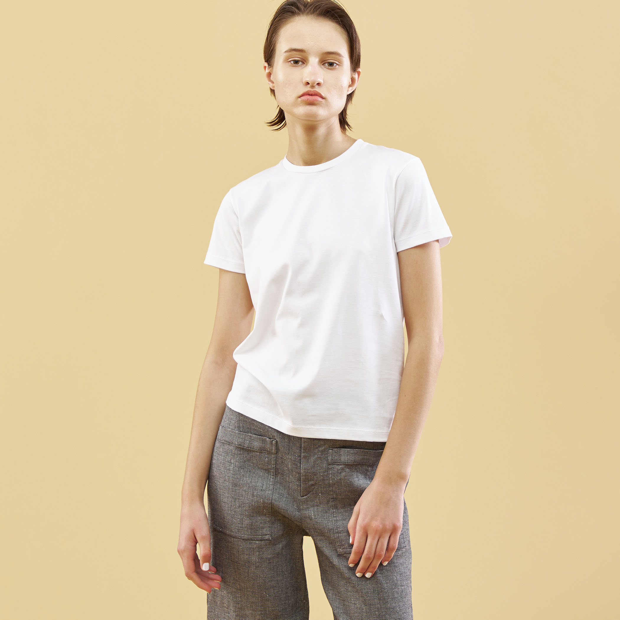 コットンページ SHIPS:〈洗濯機可能〉SOLOTEX(R) 12ゲージ コットン 畦編み クルー