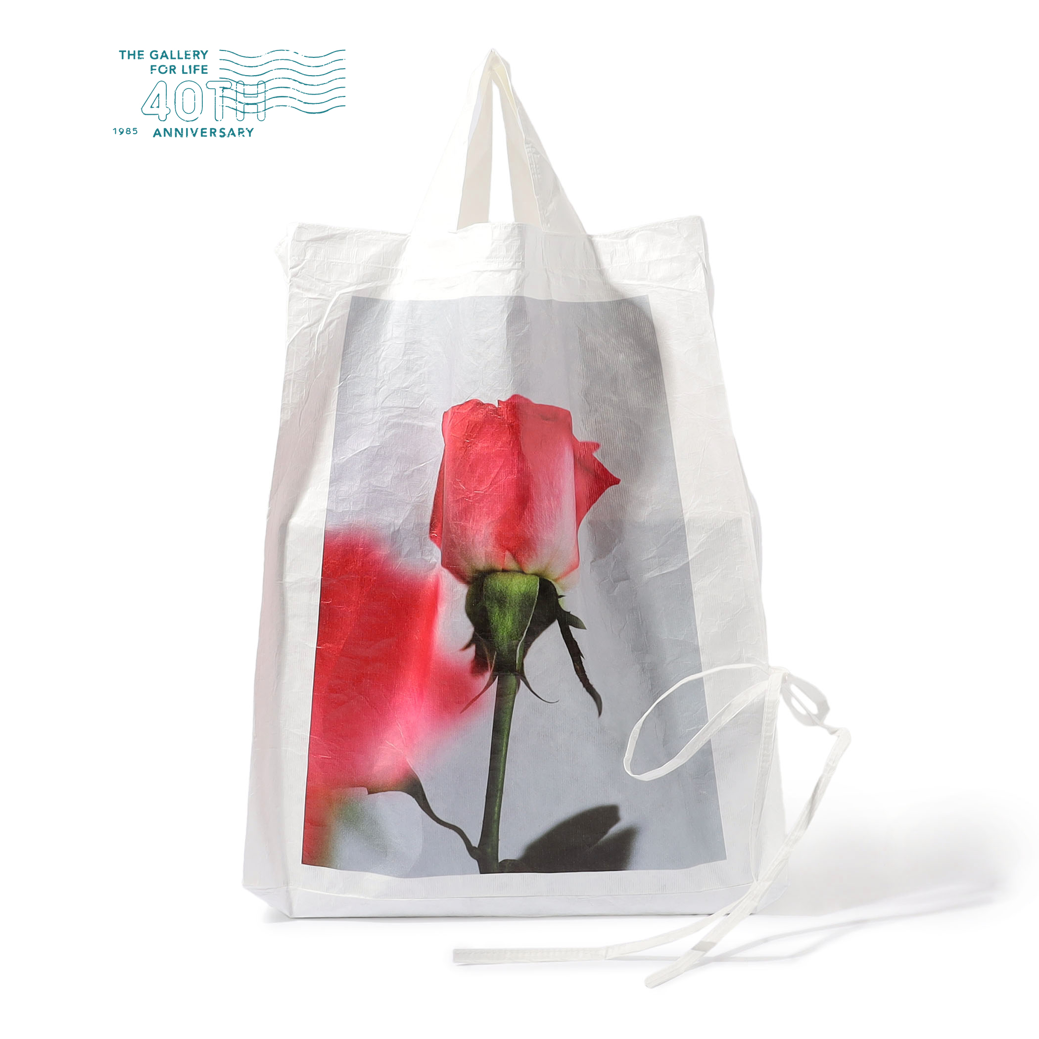 【別注】 conservatory by edenworks conservatory bag