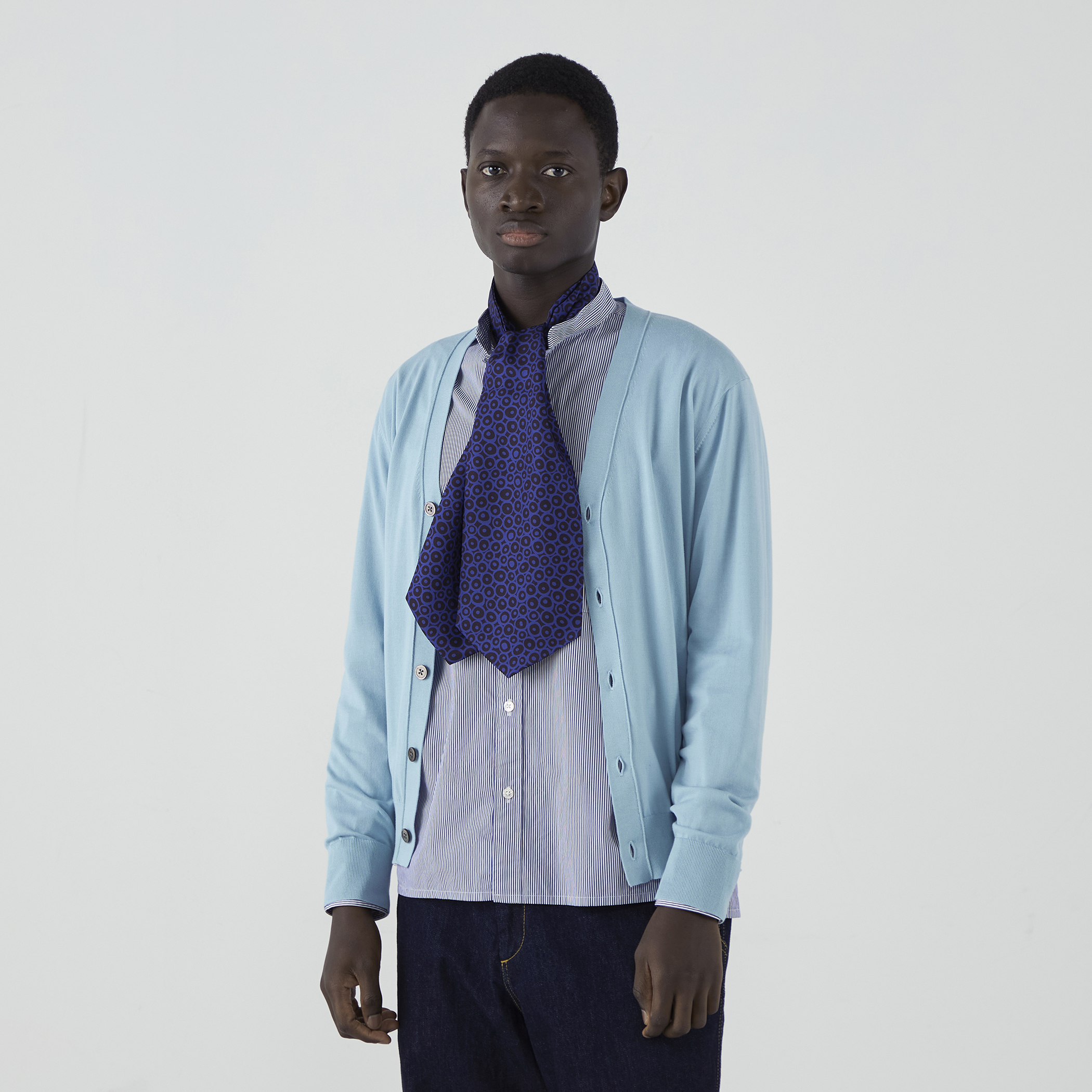 Charvet シルクプリント アスコットタイ｜トゥモローランド 公式通販