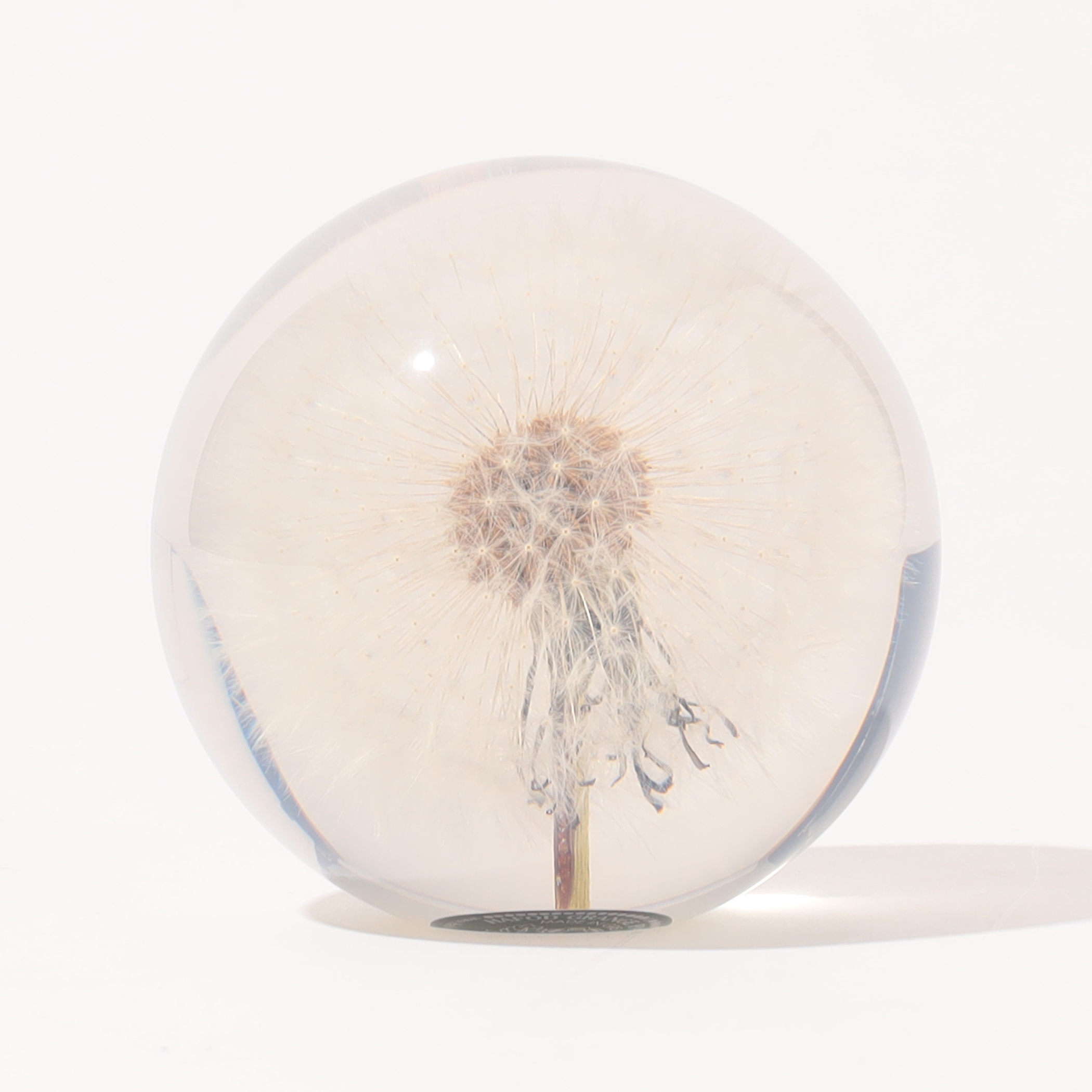 ハフォドグレンジHafodGrangeフラワーペーパーウエイトL