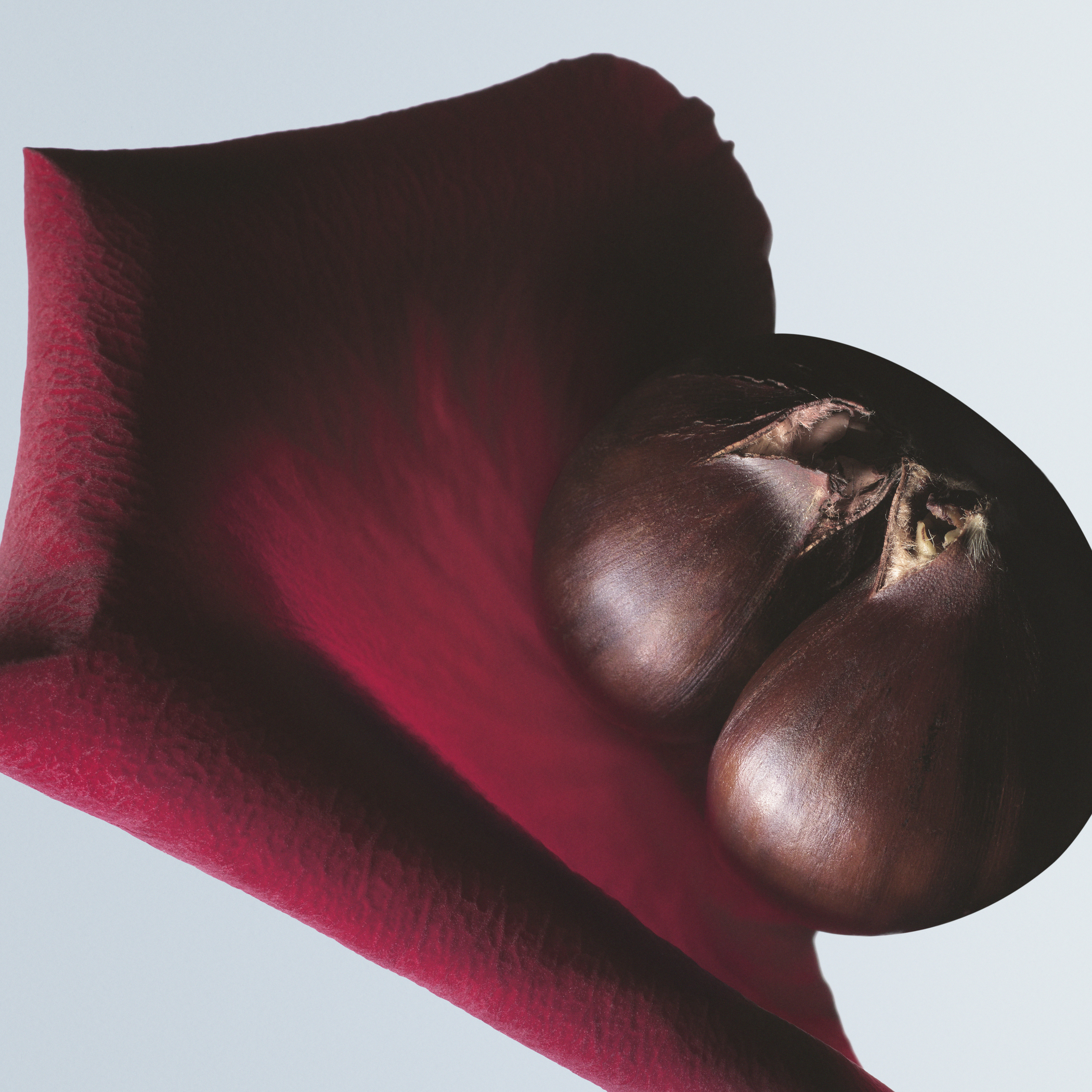 DRIES VAN NOTEN ソワ マラケ 100ml ソワ マラケ ハンドクリーム | Dries Van Noten