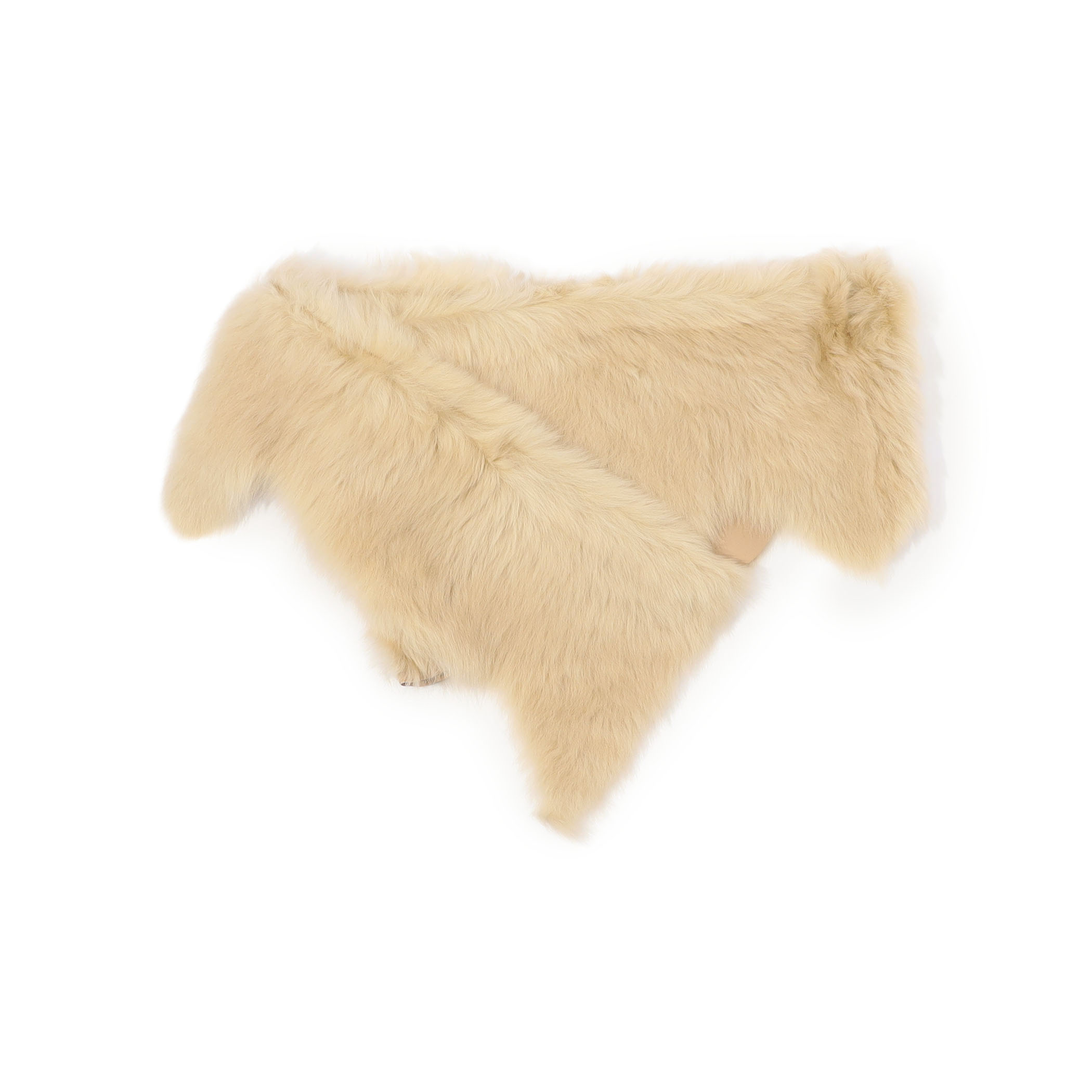 KARL DONOGHUE EDGE BUTTON スカーフ