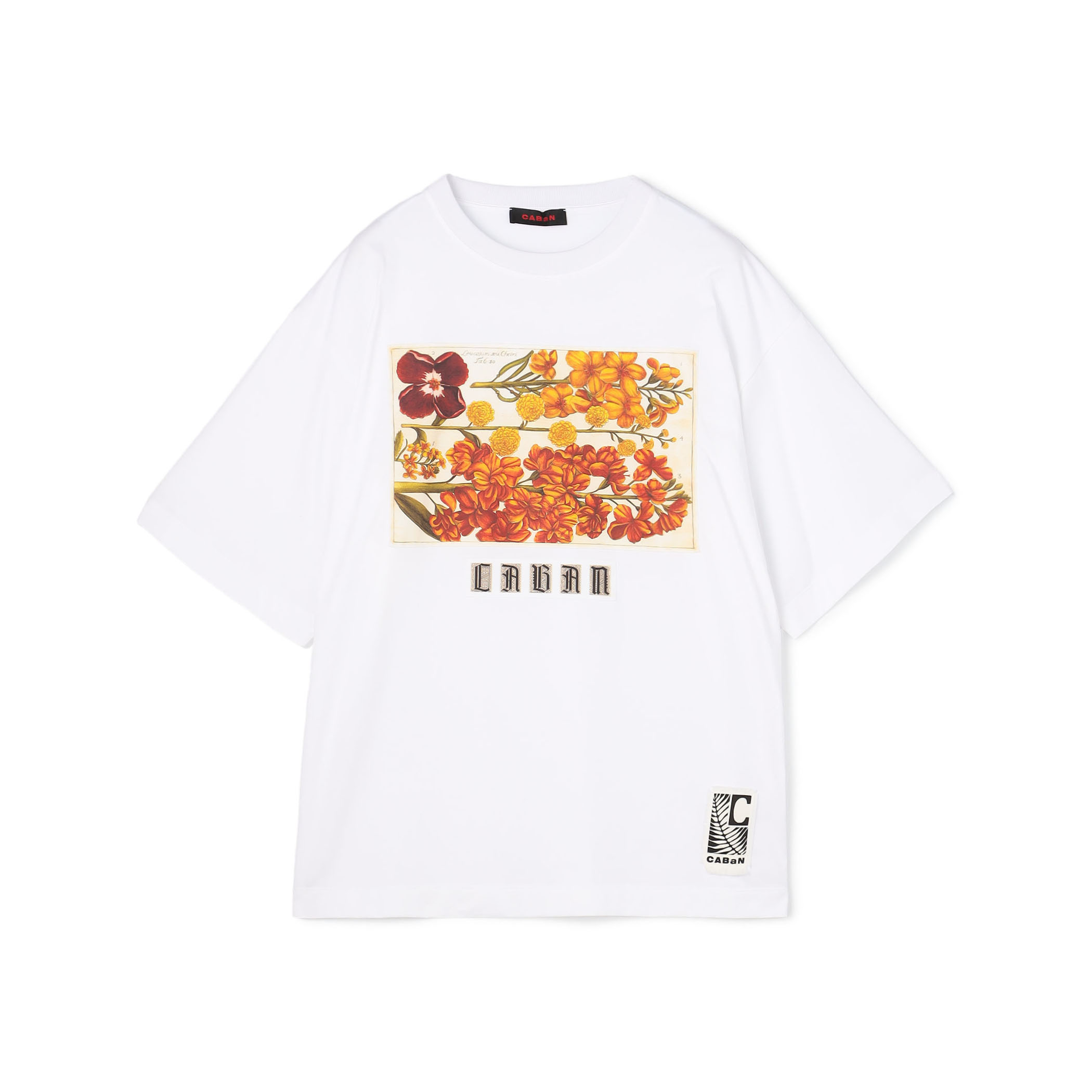 CABaN スビンコットン パレルモプリントTシャツ｜トゥモローランド