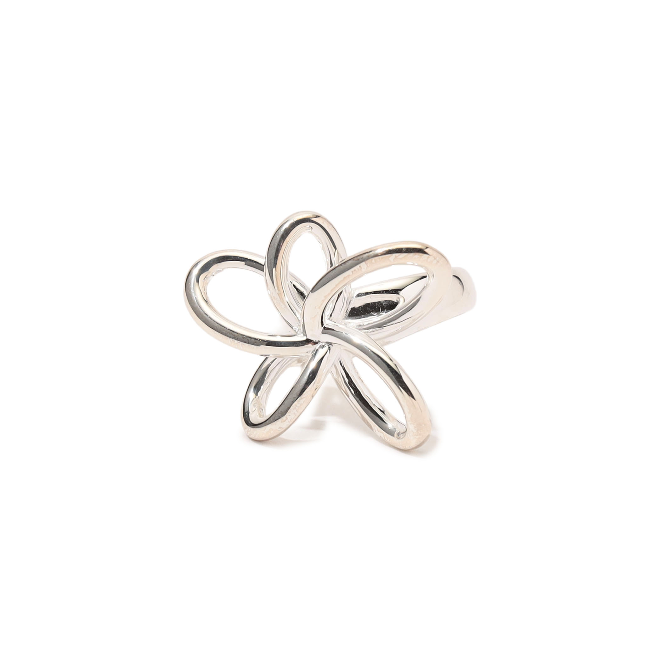 【別注】PHILIPPE AUDIBERT シルバー スカーフリング