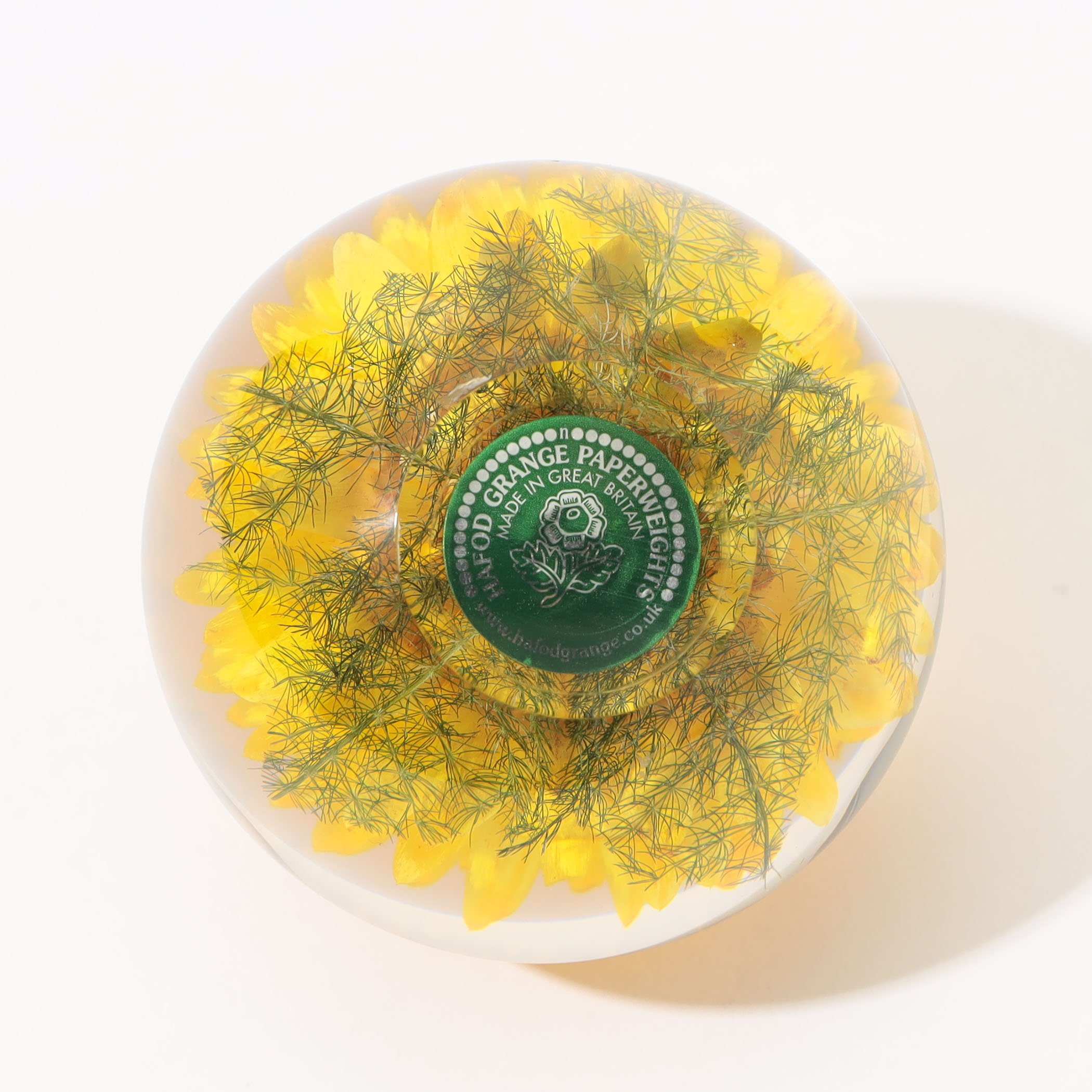 HAFOD GRANGE Yellow Helichrysumペーパーウェイト