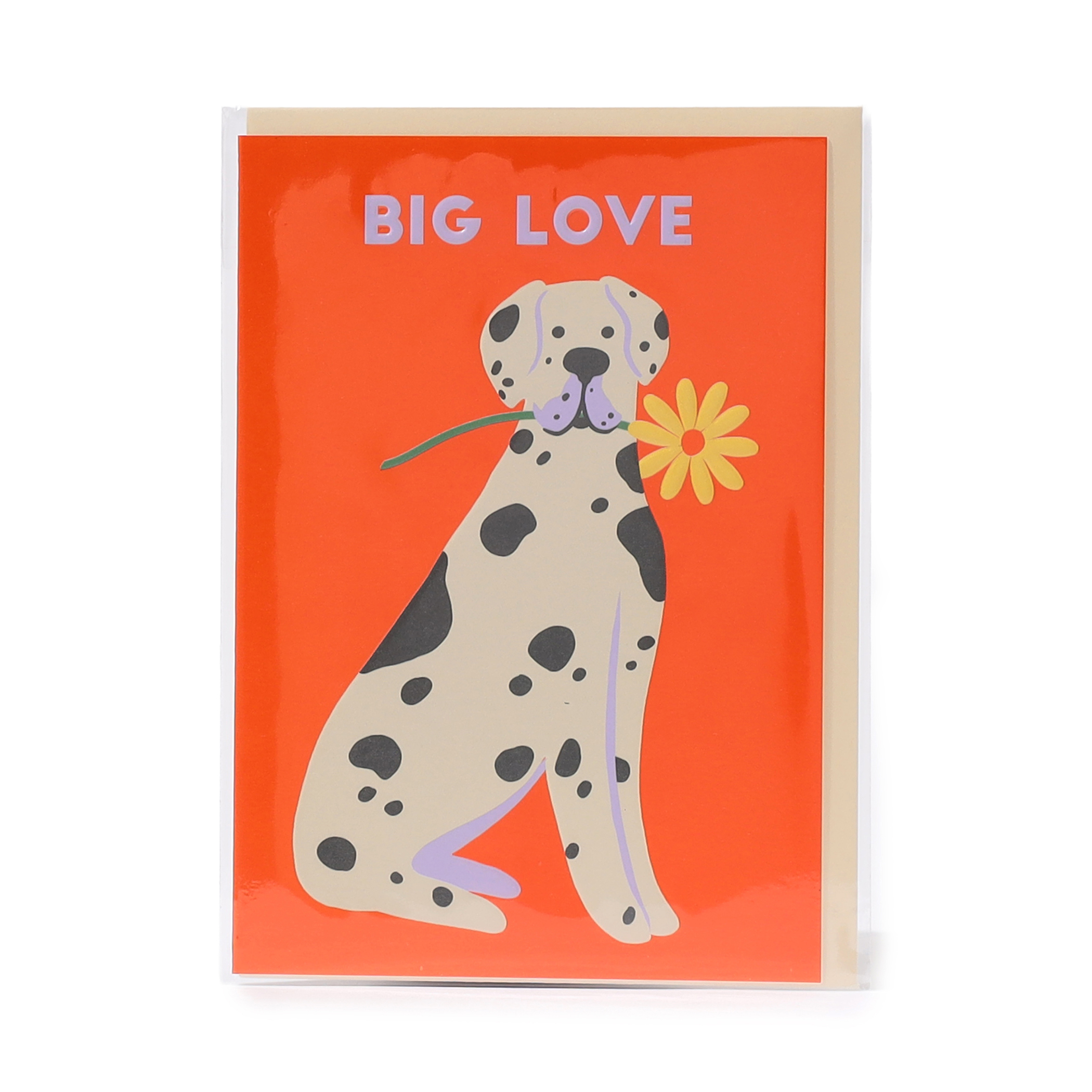 KlangundKleid.de GmbH BIG LOVE
